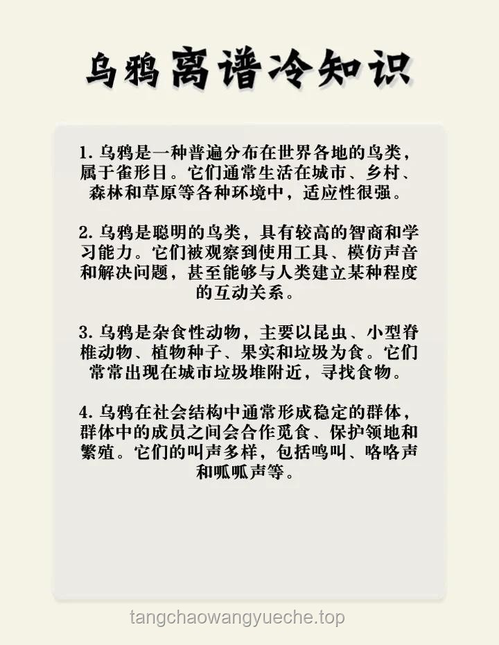 🐦反转认知：乌鸦——益鸟？害鸟？还是生态智慧的使者？